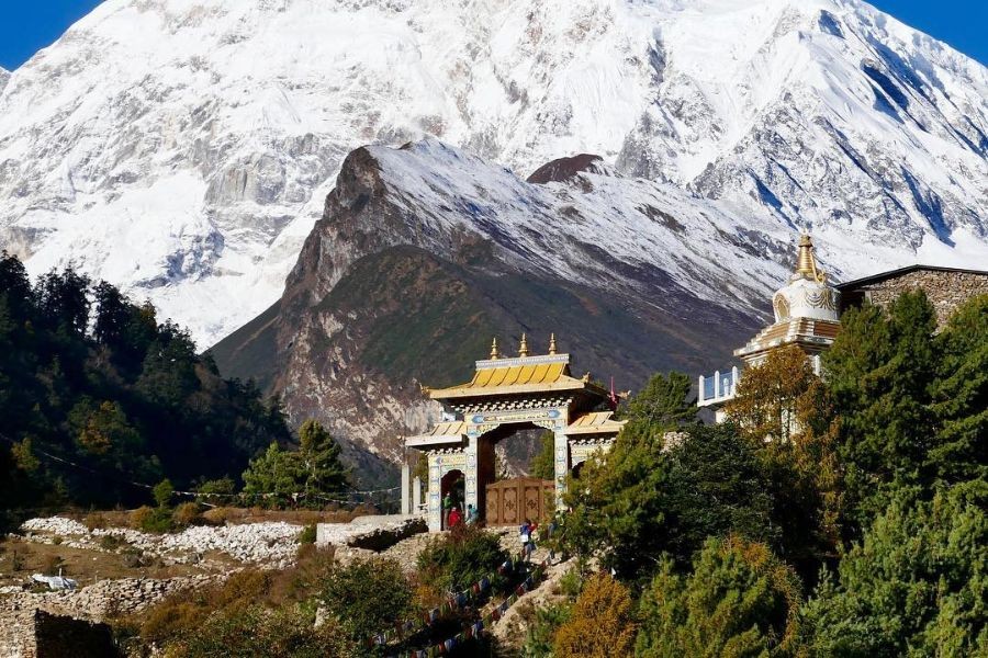 Ornate Buddhist temple gateway with golden roof against dramatic snowy mountain backdrop